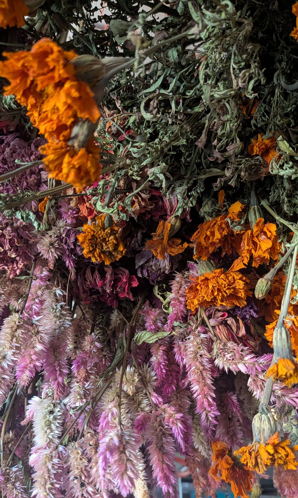 Mixed Dried Flower Bouquet, Organic Flowers